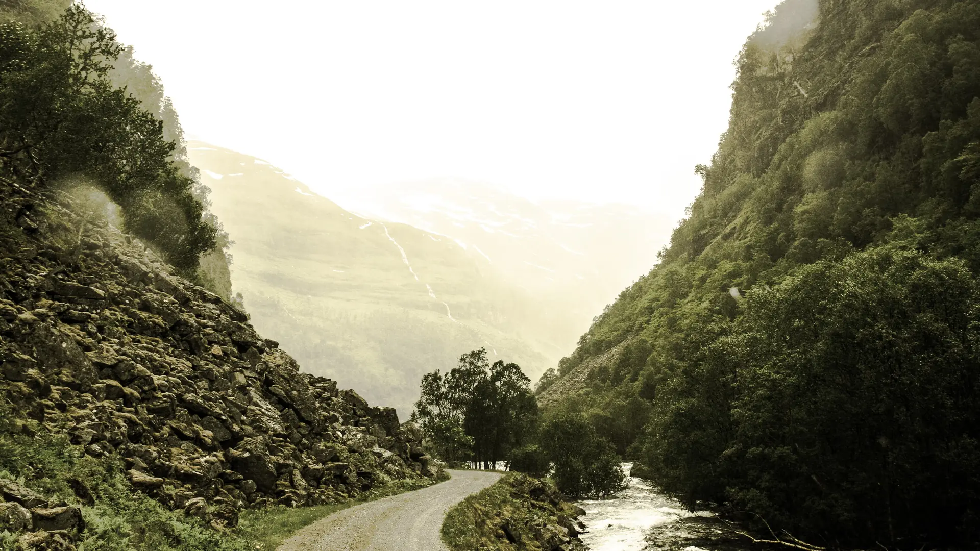 Winding road climbing through green mountains